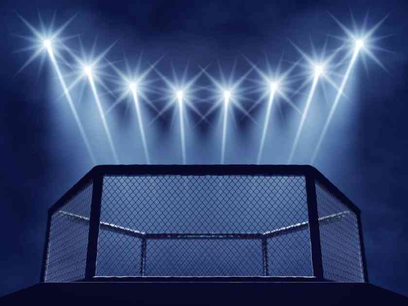 SPEKTAKL U PRESTONICI: U subotu šesto MMA prvenstvo Beograda