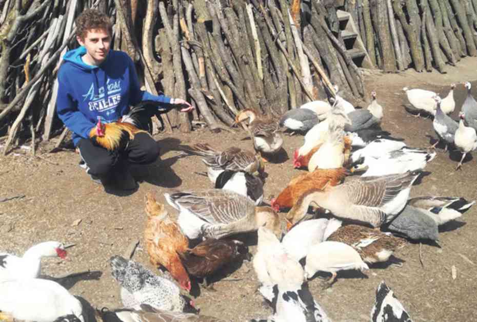 SREDNJOŠKOLAC ZEMLJORADNIK ZA PRIMER: Školarac Mateja Bogdanović (16) već gazda farme živine