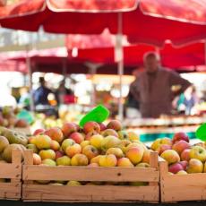 SRPSKA POLJOPRIVREDA CVETA: Rekordan rod jabuke! Ove godine na ruskom tržištu!