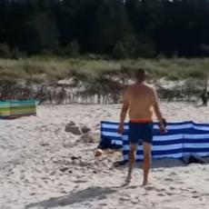 SUROVA BORBA NA ŽIVOT I SMRT: Sve se dogodilo nasred plaže onog momenta kada je DIVLJA ZVER izletela iz mora (VIDEO)