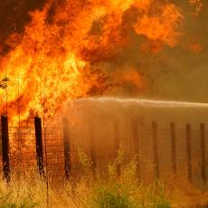 SUSEDI U OGNJENOM ZAGRLJAJU: Gori borova šuma, 50 vatrogasaca se bori sa vatrenom stihijom