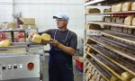 Sa novom opremom spremni i za izvoz: Da li srpske industrije hleba i peciva mogu da konkurišu velikim evropskim igračima? 