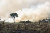 15 činjenica o požaru u Amazoniji koje nisu ohrabrujuće: Svakog minuta nestanu 3 fudbalska terena