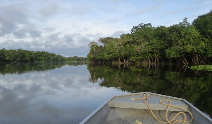 Sačuvano 60 miliona hektara tropskih šuma u Brazilu