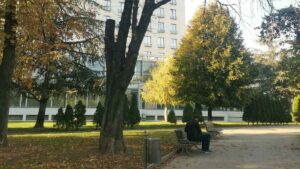 Sadnja 28 stabala u Tašmajdanskom parku 27 i 28. oktobra