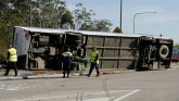 Saobraćajna nesreća i Australija: Prevrnuo se autobus posle venčanja, poginulo desetoro ljudi