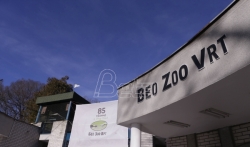 Šapić: Izmeštanje Zoo vrta na Adu Ciganliju jer je to najbolje mesto za životinje (VIDEO)