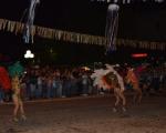 Šarolikim defileom završen XIII  Leskovački karneval 