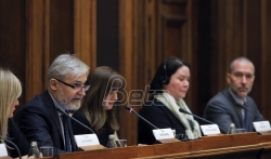 Sastanak u Skupštini Srbije o spornom predlogu zakonu o nestalim bebama