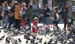 Satler nezadovoljan napretkom BiH na putu ka EU, posebno u oblasti pravosudja