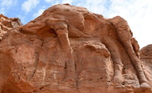 Saudijska Arabija, arheologija i praistorija: Skulpture kamila su, moguće, najstarije na svetu