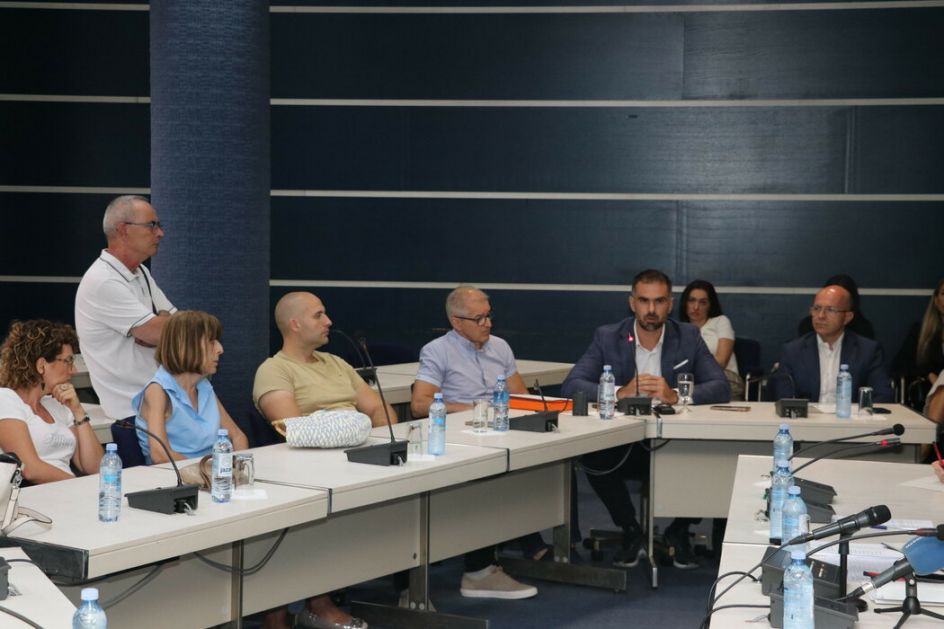 Savet za kulturu prihvatio inicijativu Mićina o spomeniku žrtvama pada nadstrešnice