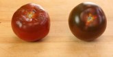 Savršen trik da paradajz duže traje /VIDEO