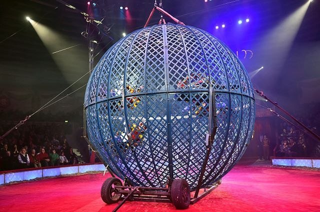 Scene ovog cirkusa ostavljaju bez daha: Humanost prema životinjama i oduševljeni posetioci