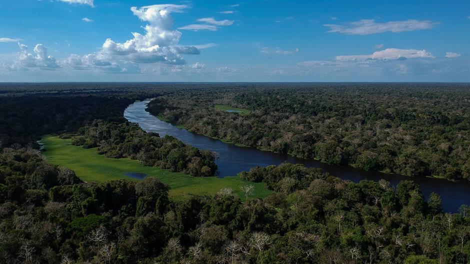 Seča šuma u Amazoniji dostigla vrhunac u poslednjoj deceniji