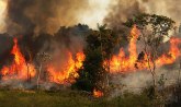 Šef brazilske diplomatije: Uspešno se borimo sa požarima