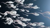 Seks i kontracepcija: Jesu li muškarci spremni da uzimaju anti-bebi pilulu