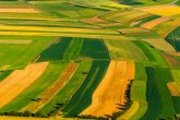 Seljaci na visini zadatka: Ruska poljoprivreda ne sme stati