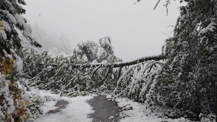 Šesti dan bez struje Crna Trava, vanredna situacija na snazi