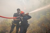 Sezona požara u Grčkoj još nije završena, uhapšeno pet osoba FOTO/VIDEO