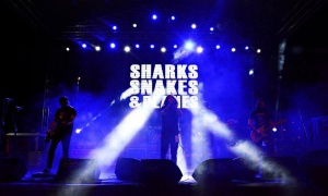 Sharks, Snakes & Planes i Hurleur gruvaju zajedno 9. marta u klubu Fest! (FOTO)