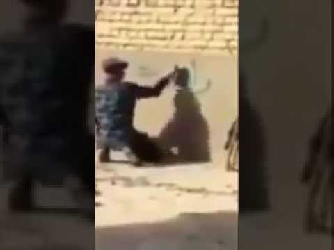 Šijski vojnik napisao na zidu “Aiša je u vatri”, a onda ga je pogodila granata /VIDEO/