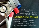 Simptomi variraju i mogu da se pogoršaju: Kako i gde možete da se testirate na koksaki virus VIDEO
