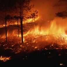 Situacija alarmantna: Šumski požari zahvatili 140.600 hektara u Rusiji 
