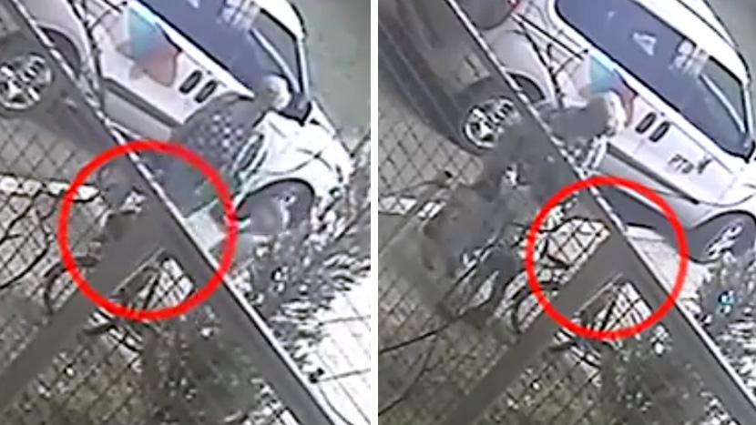 Skandalozan snimak sa ulične kamere u Novom Sadu: Baba ukrala torbu dok je šetala sa unukom (VIDEO)