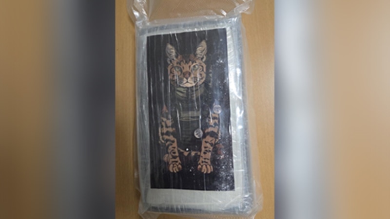 Skoro 200 kilograma droge zaplenjeno u Austriji i Španiji u akciji koju su vodili policija i tužilaštvo Srbije