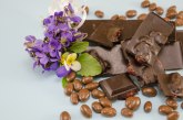 Slatka investicija: Švajcarci prave čokoladu u Vojvodini