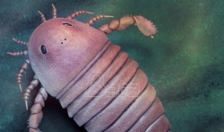 Slatki ali krvoločni: fosili morskog škorpiona stari 450 miliona godina pronađeni u Kini