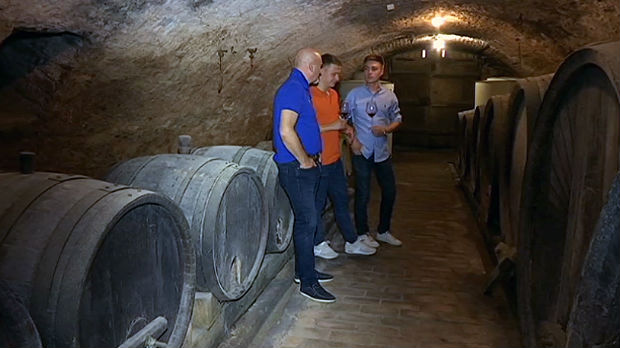 Sloga vinograd gradi, sve više porodičnih vinarija u Srbiji