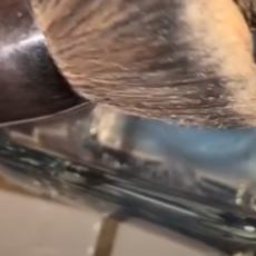 Smara te da čistiš četkice za šminkanje? Ovo je najbrži i najefikasniji način IKADA! (VIDEO)