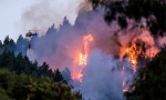 Smiruju se požari na Kanarskim ostrvima, izgorelo 12.000 hektara