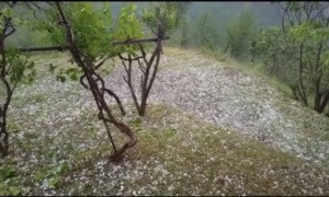 Snažno nevreme pogodilo Crnu Goru, padao grad veličine oraha (FOTO, VIDEO)