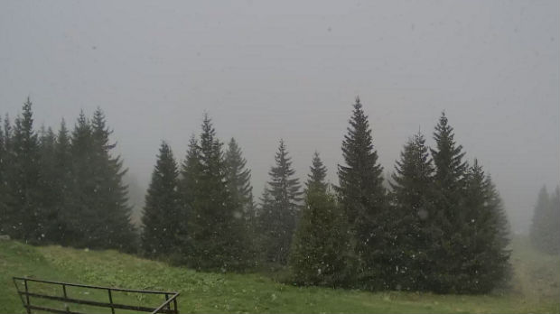 Sneg u maju – zabeleli se Kopaonik i Brezovica