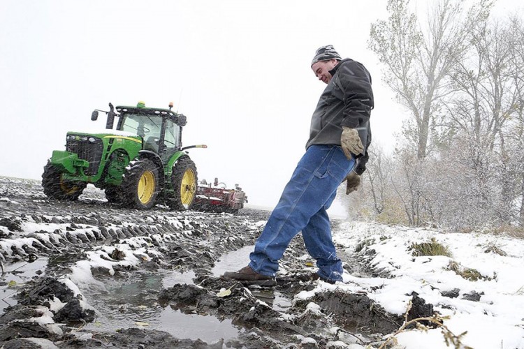 Snijeg pogoduje poljoprivrednicima