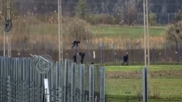 Snimci migranata kako preskaču ogradu na granici Srbije i Mađarske