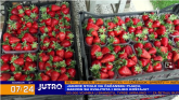 Sočne i neprskane: Stigle prve jagode na čačanske pijace VIDEO