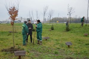 Sombor: JKP “Zelenilo” nastavilo sa sadnjom biljaka u parku kod Bloka 82 (FOTO)