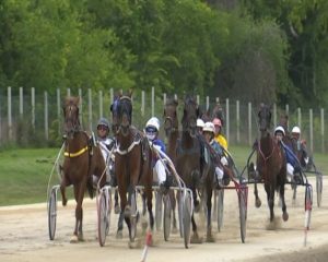 Sombor: Ljubitelji konjičkog sporta napunili tribine somborskog hipodroma