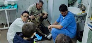 Sombor: Vrtić „Vrapčić“ u poseti Veterinarskoj stanici „Životinjsko carstvo“