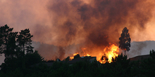Španija: Požar pod kontrolom, evakuisano 2.000 ljudi