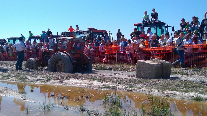 Spektakl pokraj Kanjiže: Od moćnih traktora blato prskalo na sve strane, publika oduševljena! (FOTO)