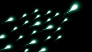 Spermogram – kako se radi i šta otkriva?