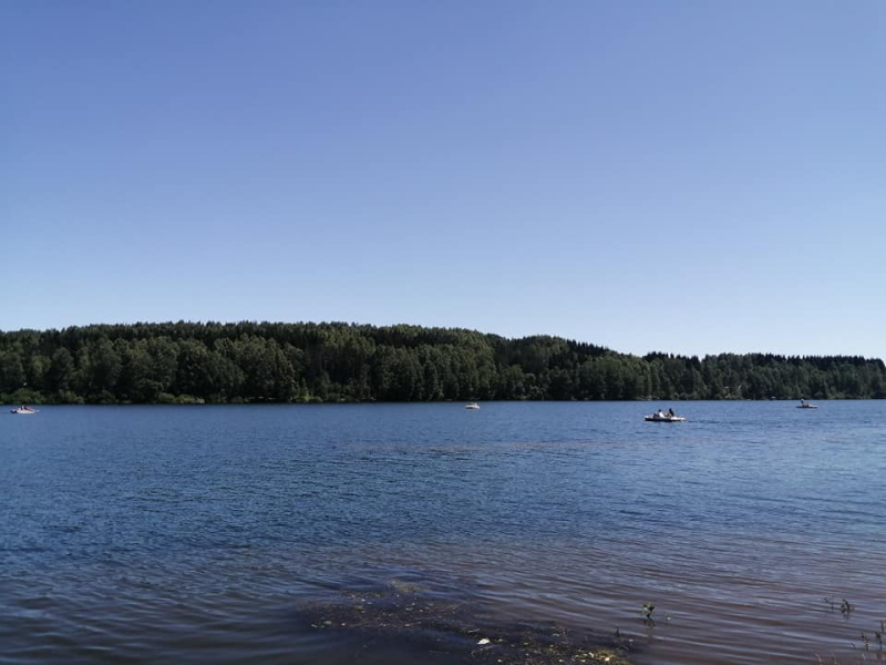 Spin kup RIBOLOVACA na Vlasini