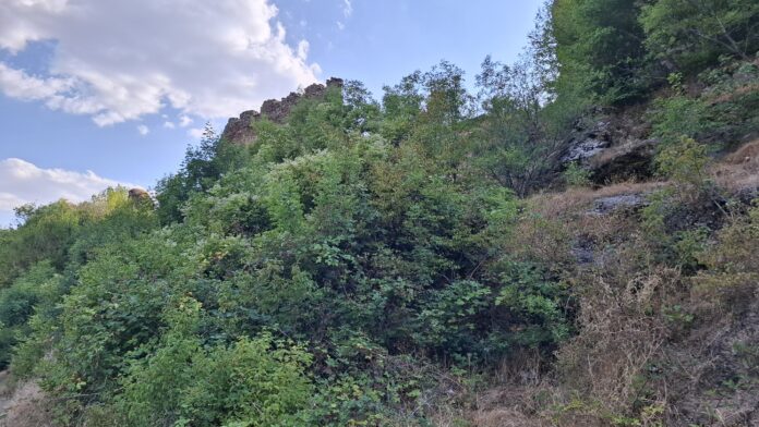 Spomenik kulture „Markovo kale“ zarastao u travu i šiblje – pre arheološkog istraživanja neophodno čišćenje