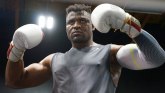 Sport, boks i Frensis Enganu: Kamerunski MMA borac je kao kralj