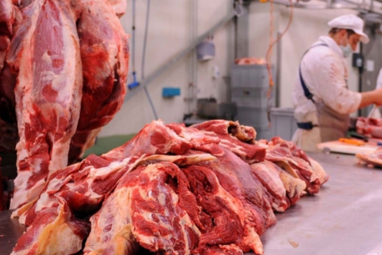 Srbija: Od 1. januara podsticaji i za proizvodnju junećeg mesa